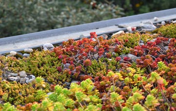 the cost of Llangattock Vibon Avel green roof installation