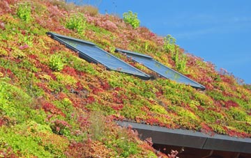 Llangattock Vibon Avel living roof systems