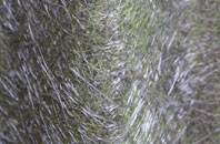 Llangattock Vibon Avel fibreglass roof work